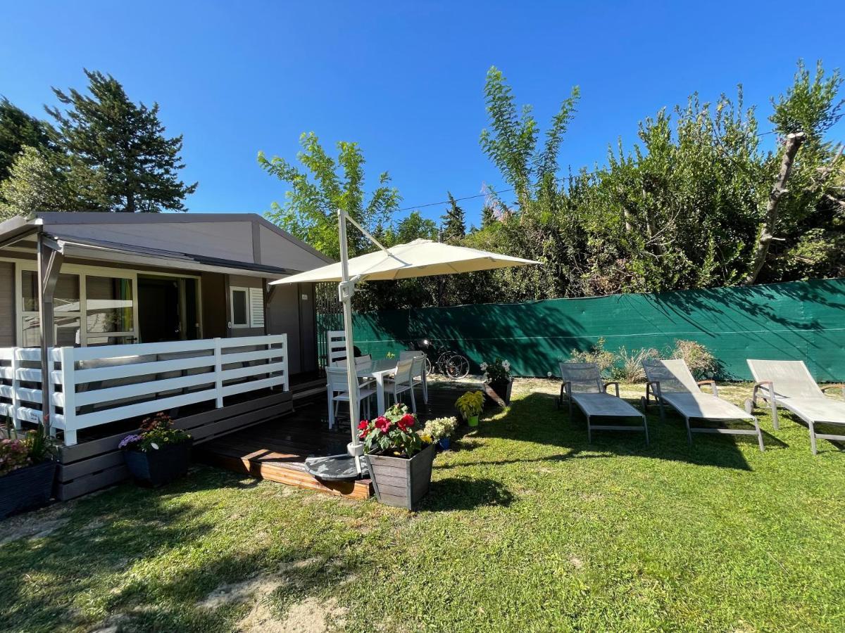 Avignon, Joli Chalet En Campagne Tres Proche De La Ville Экстерьер фото